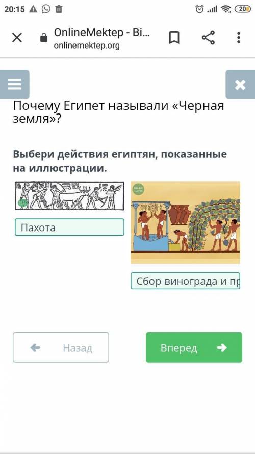 Выбери действия египтян показанная на иллюстрации Всемирна​
