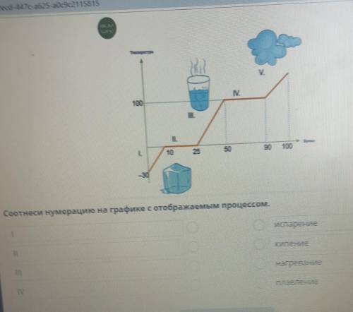 Соотнеси нумерацию на графике с отображаемым процессом.​