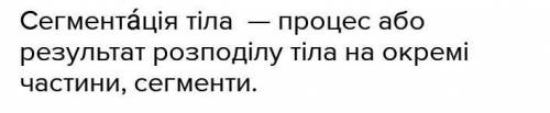 1. Що таке сегментація тіла? Яке значення цього явища?​