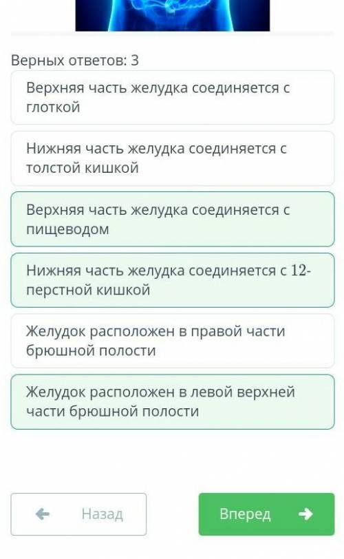 мне. единственное, на что я не могу ответить по биологии. Строение пищеварительной системы дождевого