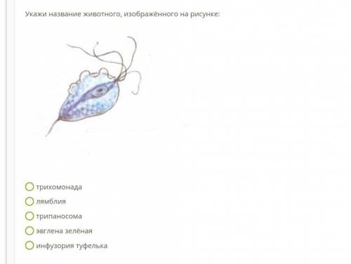 Укажите название животного изображенного на рисунке биологии ​