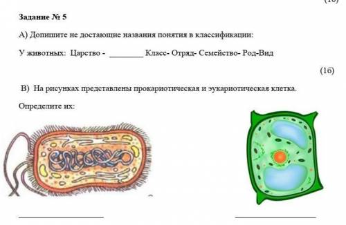 А) Допишите не достающие названия понятия в классификации: У животных: Царство - Класс- Отряд- Семе