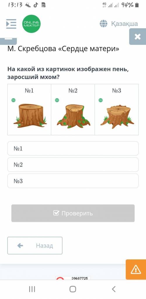 На какой из картинок изображен пень, заросший мхом?