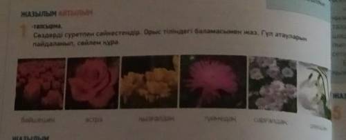 -Тапсырма. Сөздерді суретпен сәйкестендір. Орыс тіліндегі баламасымен жаз. Гүл атауларынпайдаланып,