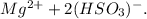 Mg^{2+} + 2(HSO_{3})^{-}.