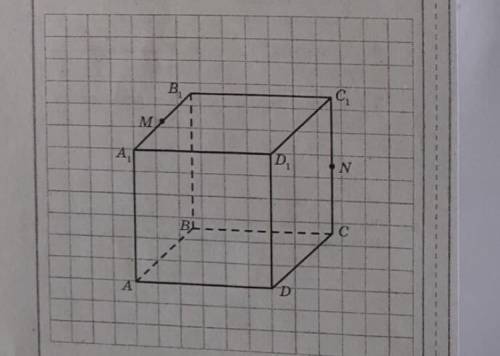 Пользуясь рисунком, на котором изображен куб ABCDA1B1C1D1 постройте прямую пересечения плоскости DNM