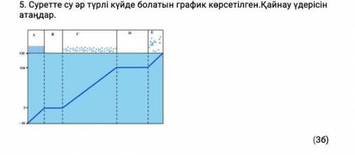 Какой ответ скажите ?​