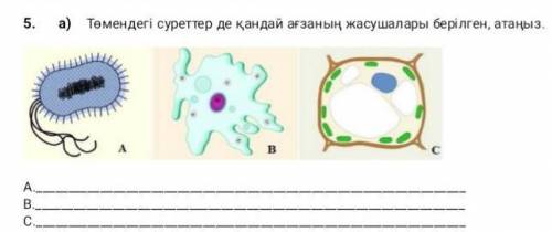 Комектесиндерши отнш​