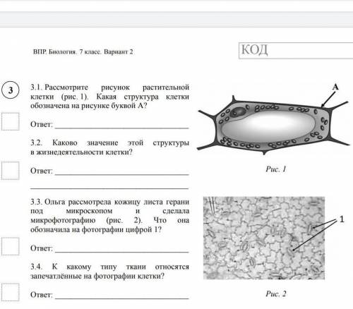 Каково значение этой структуры в жизнедеятельности​