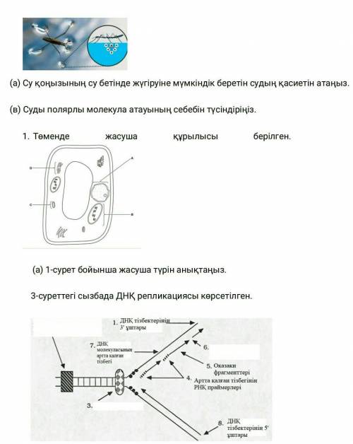 Суды полярлық молекула атау себебі ?​