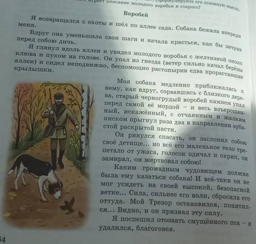 «Толстые вопросы 1. Почему собака уменьшила своишаги?2. Объясните, почему старый воробейбросился пте