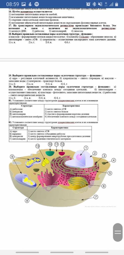 Тест по биологии на тему Клетка