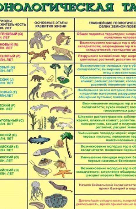 Задания: 1.По геохронологической таблице, предложенной учителем определите взаимосвязь между земной