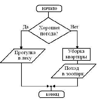 Перед выходным днём папа сказал своему сыну: «Давай спланируем свой завтрашний день. Если будет хоро