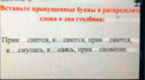 Вставьте пропущенные буквы и распределите слова в два столбика​