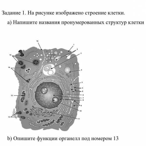 а) нужно если не знаете проходите мимо