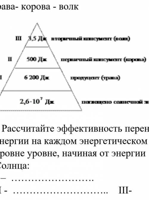 8. Рисунок иллюстрирует пирамиду энергии, упрощенной экосистемы: трава- корова - волк (a) Рассчитайт