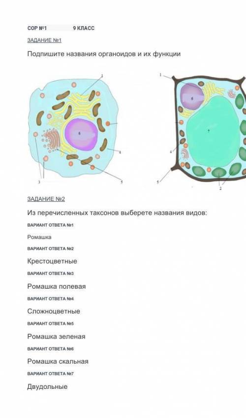 Сор по биологии 1 четверть 9 класс​