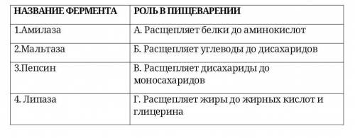 Соотнесите название фермента с его ролью в пищеварении. ​