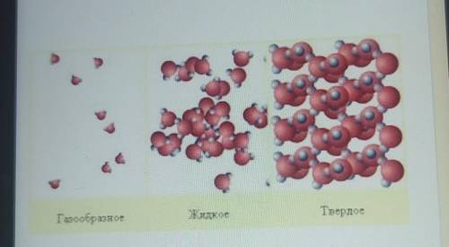 Даны три картинки, на одной из которых изображены частицы вещества,находящегося в газообразномагрега