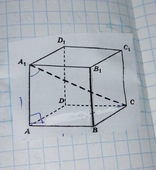 решить, очень В единичном кубе a...d1 найдите угол между прямыми bb1 и a1c ​