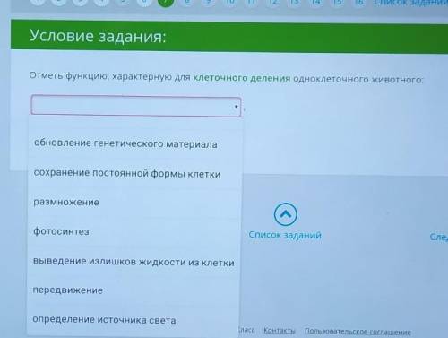 Отметь функцию, характерную для клеточного деления одноклеточного животного :​