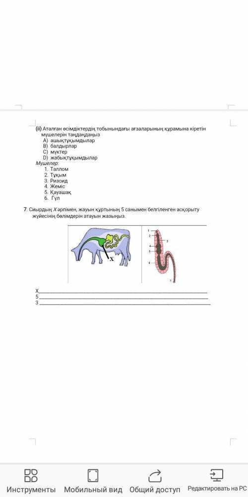 7 керек еди көмектесіңдерш