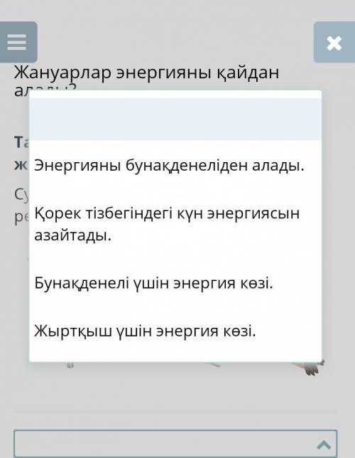 Тапсырма, оның нұсқаулығы және жауабы (шешімі) Суреттен өсімдіктің қоректік тізбектегі рөлін анықта.