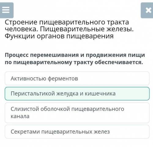 Процесс перемешивания и продвижения пищи по пищеварительному тракту обеспечивается. Активностью ферм