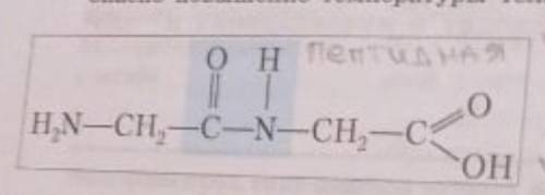Назовите химическую связь,обозначенную на рисунке голубым фоном. Для каких биополимеров характерны т