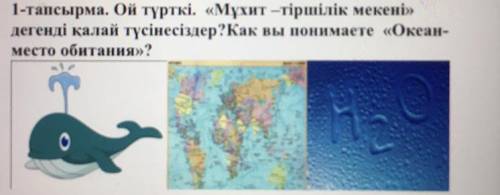 1-тапсырма. Ой түрткі. «Мұхит –тіршілік мекені» дегенді қалай түсінесіздер?Как вы понимаете «Океан-