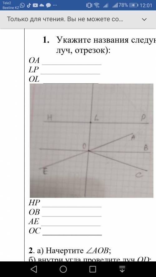 1. Укажите названия следующих элементов на рисунке (прямая, луч, отрезок):