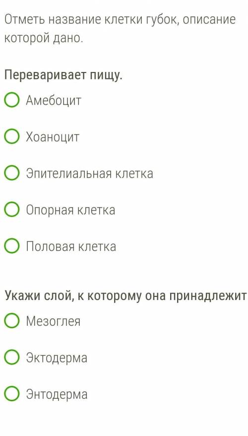 Отметьте название клеток губок, описание которой дано​