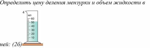 2. Определить цену деления мензурки и объем жидкости в ней