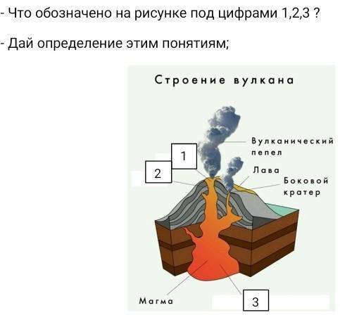 Рассмотри рисунок и ответь: - Что обозначено на рисунке под цифрами 1,2,3 ?- Дай определение этим по