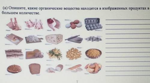 Опишите, какие органические вещества находятся в изображенных продуктах вбольшем количестве.​