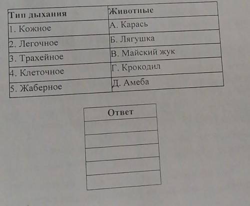 Соотнесите тип дыхания и названия животных у которых он встречается писав ответы буквы в таблицу​