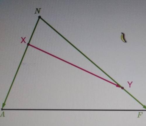 Точка X делит сторону AN в отношении AX:XN = 4:1, Y делит сторону NF в отношении NY:YF=4:1Разложи ве