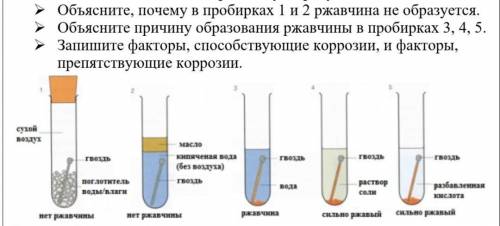 Объясните причину образования ржавчины в пробирках 3, 4, 5 если сможете и/или есть возможность, то з