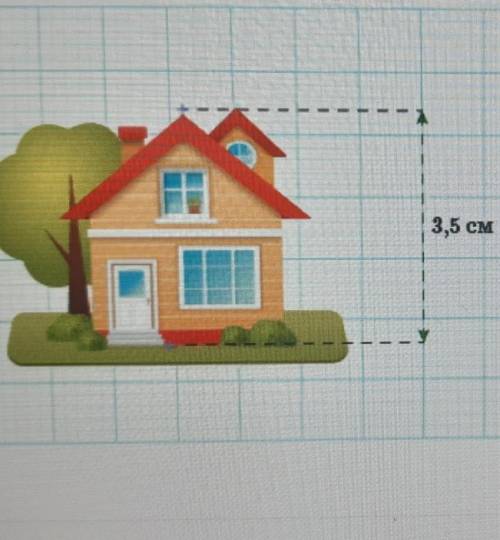 Высота дома с мансардой составляет 7 м, на рисунке его высота 3,5 см. Составь пропорцию и найди масш