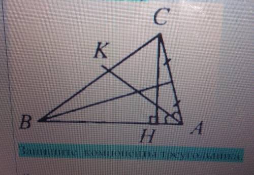 Запишите компоненты треугольника ​
