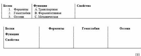 Соотнесите белки с выполняемыми функциями. Запишите свойства белков. Белок Функция Свойства Ферменты