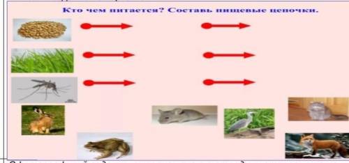 Кто чем питается составь пищевые цепочки