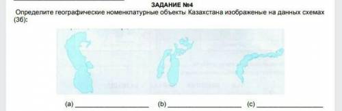 Определите географические номенклатурные объекты Казахстана изображенные на данных схемах ​