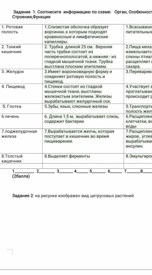 Соотнесите информацию по схеме: орган, особенности, строение, функция.​