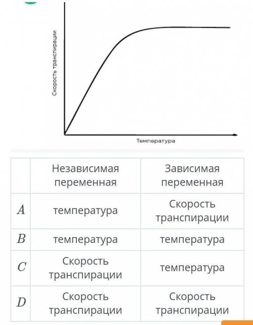 По рисунку определите зависимые и независимые переменные.​