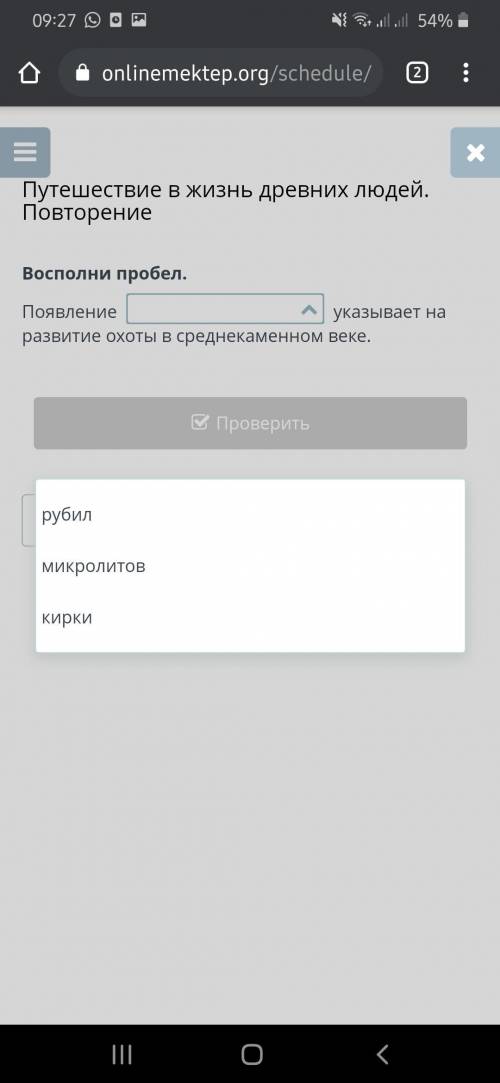 Восполни пробел. Появление указывает на развитие охоты в среднекаменном веке.