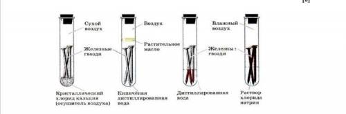 Внимательно рассмотрите данный рисунок и запишите факторы, коррозии препятствующие коррозии . До