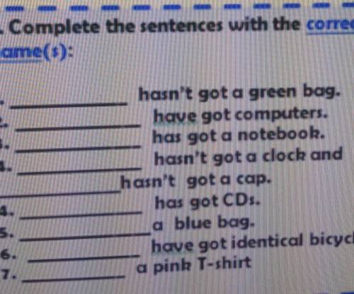 Complete the sentences with the correct name(s): 1. hasn't got a green bag.2. have got computers.3.h