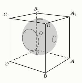 Внутри куба ABCDA1B1C1D1 расположен центр O сферы радиуса 10. Сфера пересекает грань AA1D1D по окруж
